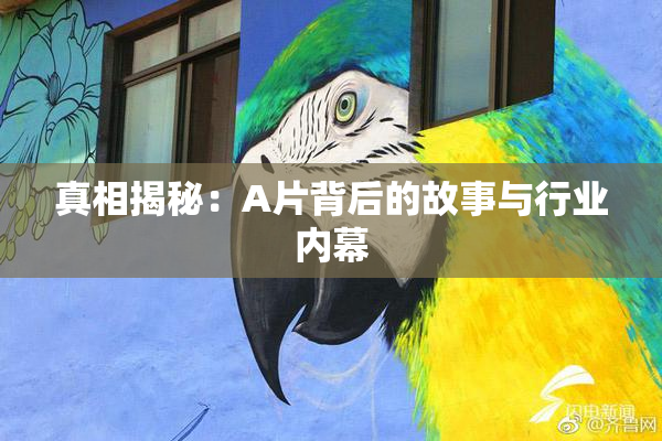 真相揭秘：A片背后的故事与行业内幕