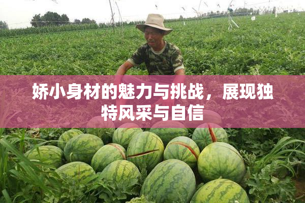 娇小身材的魅力与挑战，展现独特风采与自信