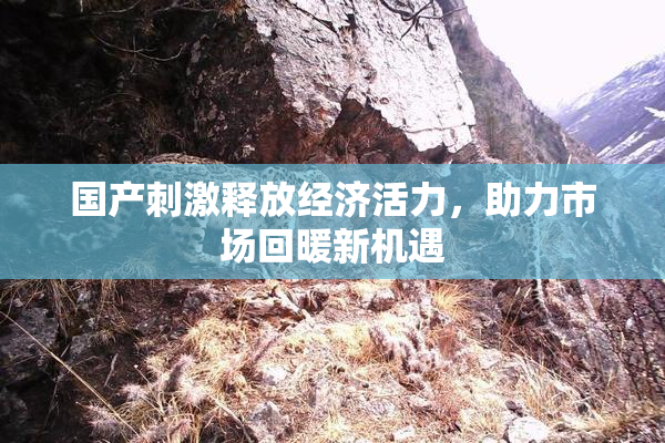 国产刺激释放经济活力，助力市场回暖新机遇