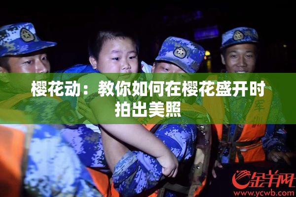 樱花动：教你如何在樱花盛开时拍出美照
