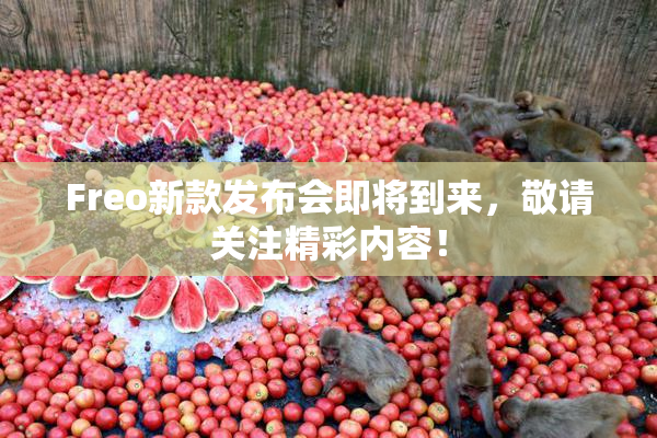Freo新款发布会即将到来，敬请关注精彩内容！