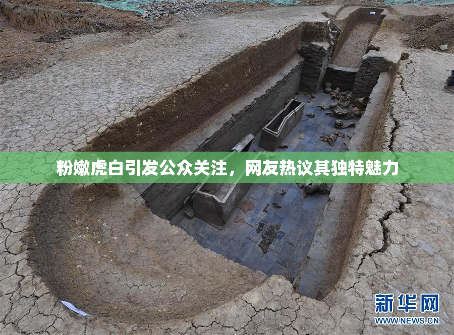 粉嫩虎白引发公众关注，网友热议其独特魅力