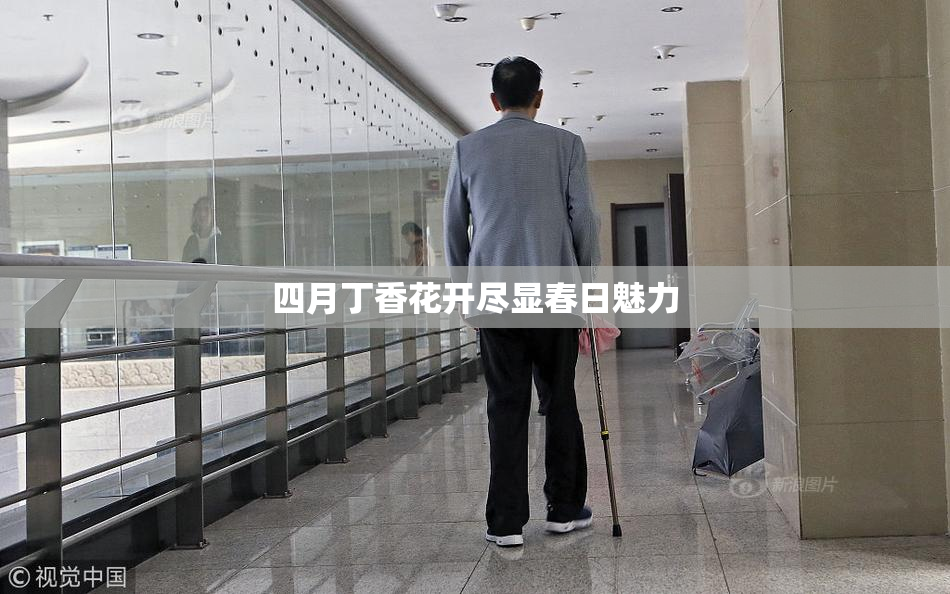 四月丁香花开尽显春日魅力