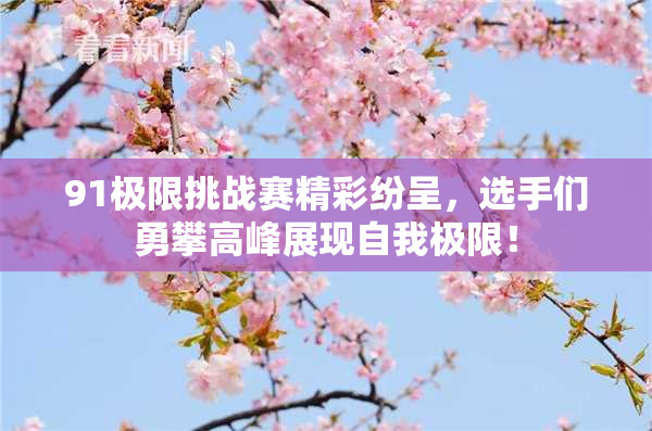 91极限挑战赛精彩纷呈，选手们勇攀高峰展现自我极限！