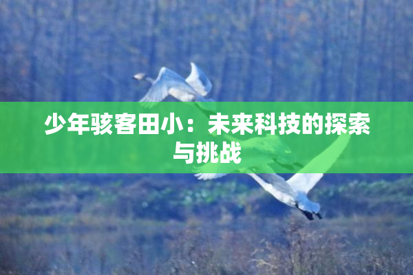 少年骇客田小：未来科技的探索与挑战