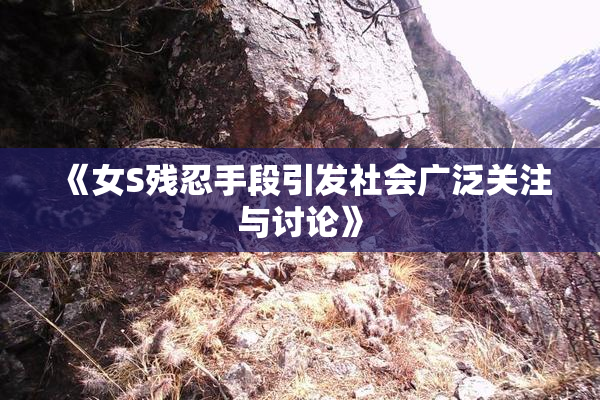 《女S残忍手段引发社会广泛关注与讨论》