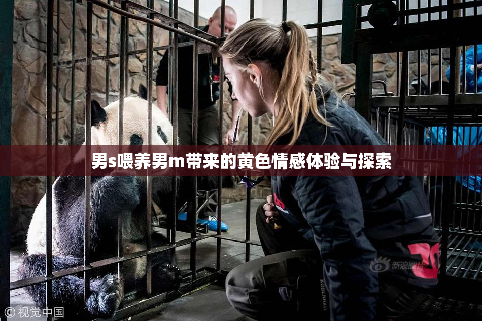 男s喂养男m带来的黄色情感体验与探索