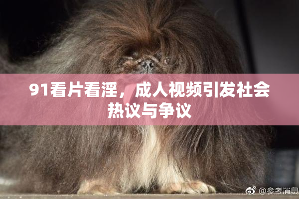 91看片看淫，成人视频引发社会热议与争议