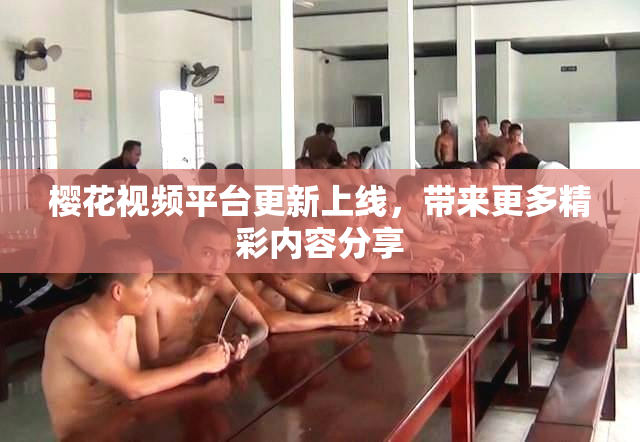 樱花视频平台更新上线，带来更多精彩内容分享