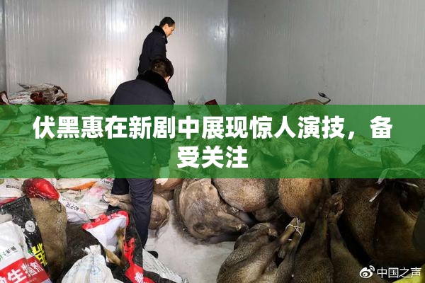 伏黑惠在新剧中展现惊人演技，备受关注