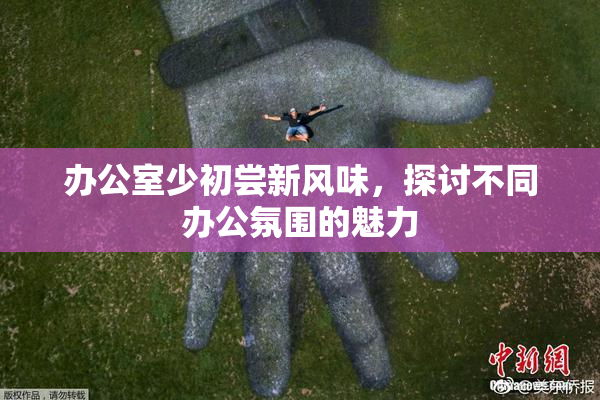 办公室少初尝新风味，探讨不同办公氛围的魅力