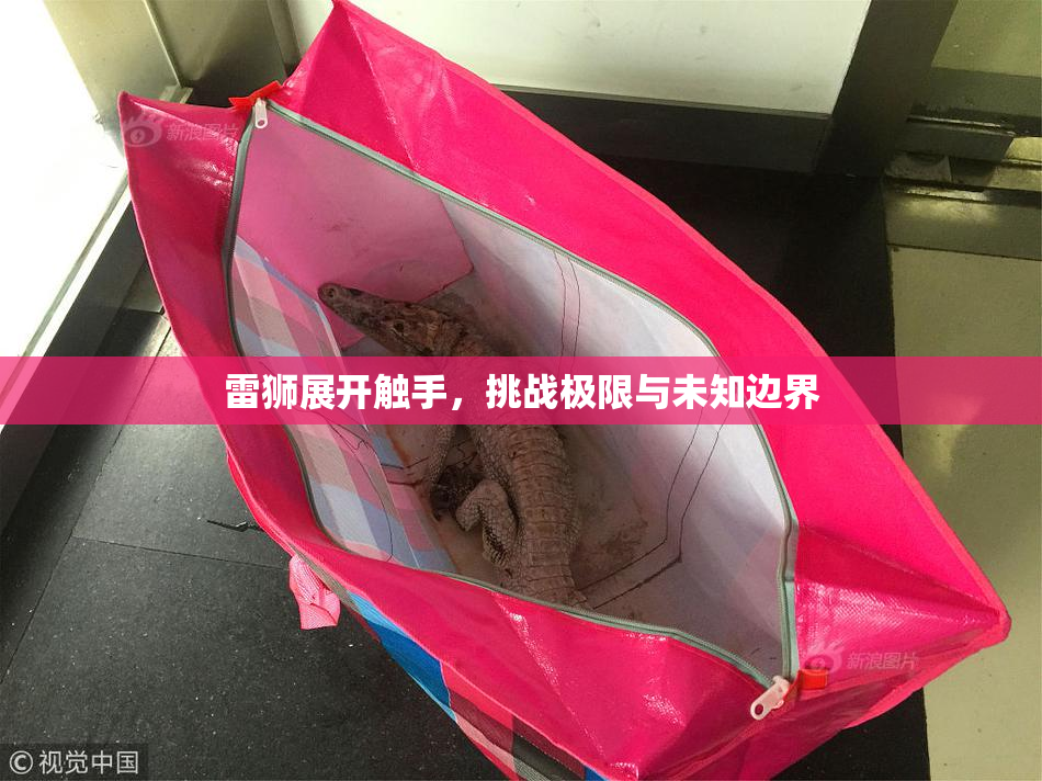 雷狮展开触手，挑战极限与未知边界