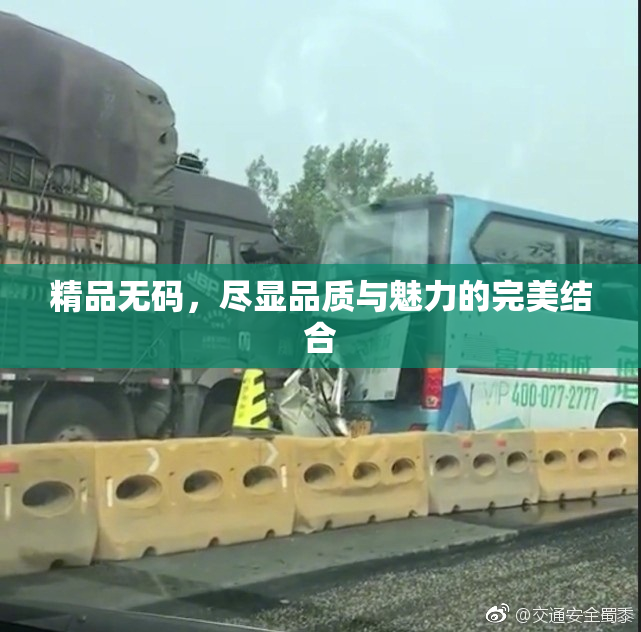 精品无码，尽显品质与魅力的完美结合