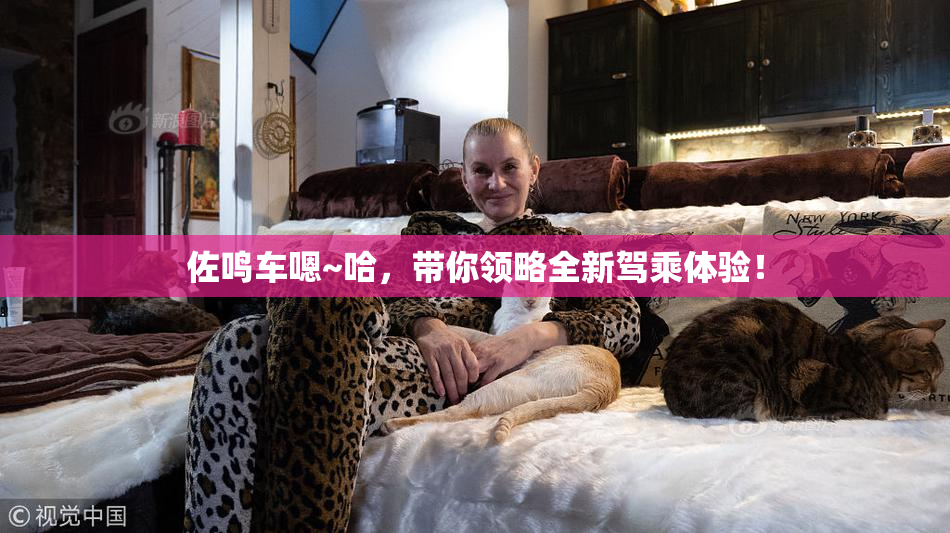佐鸣车嗯~哈，带你领略全新驾乘体验！