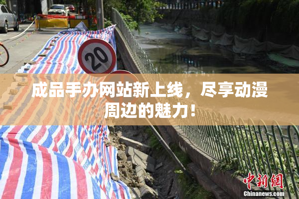 成品手办网站新上线，尽享动漫周边的魅力！