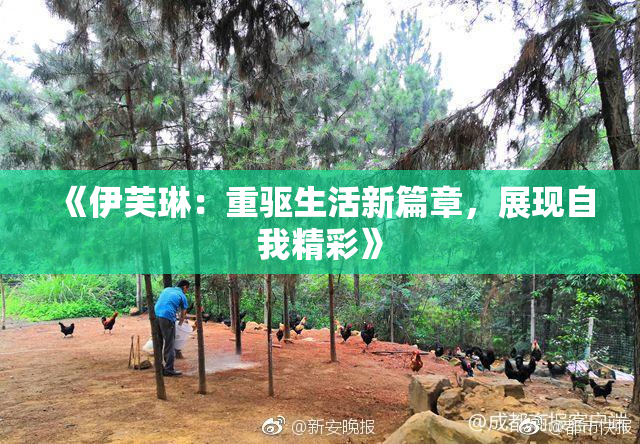 《伊芙琳：重驱生活新篇章，展现自我精彩》