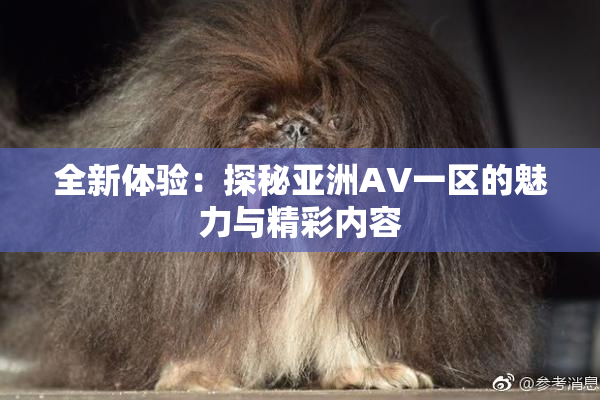 全新体验：探秘亚洲AV一区的魅力与精彩内容