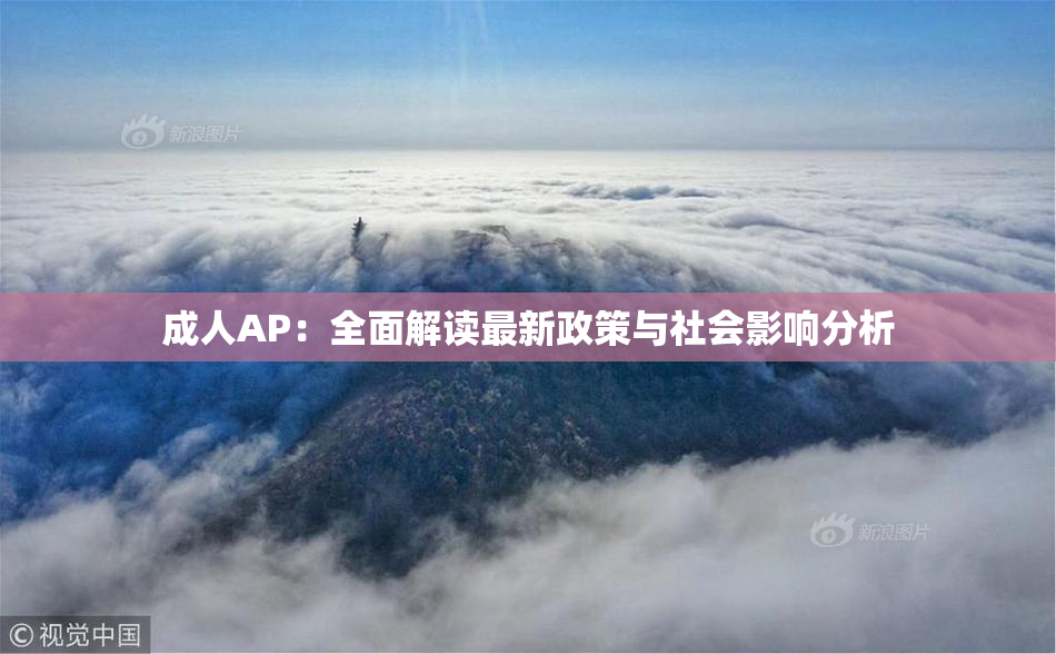 成人AP：全面解读最新政策与社会影响分析