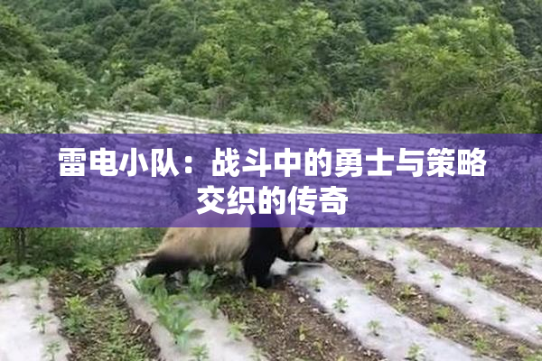 雷电小队：战斗中的勇士与策略交织的传奇