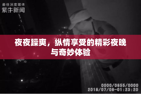 夜夜躁爽，纵情享受的精彩夜晚与奇妙体验