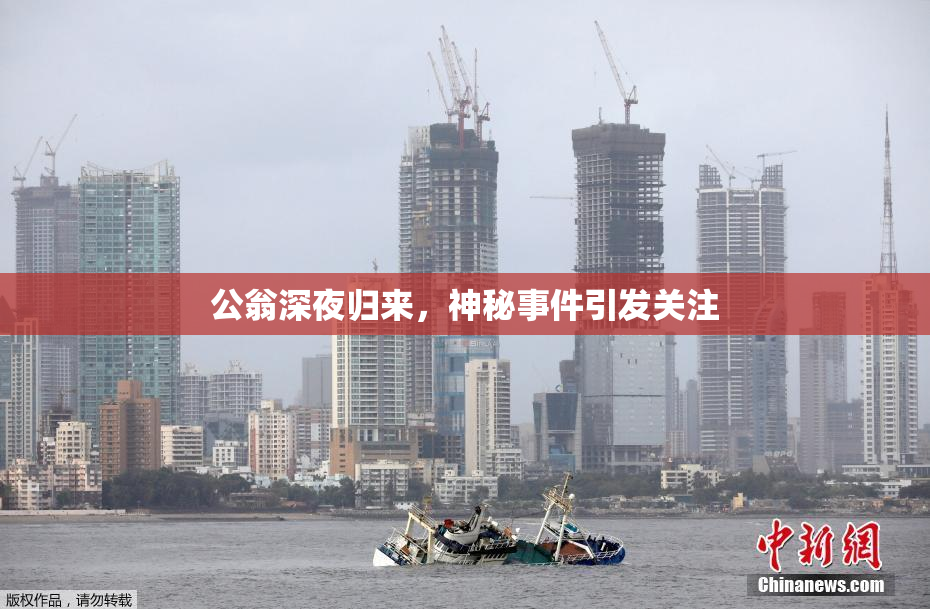 公翁深夜归来，神秘事件引发关注
