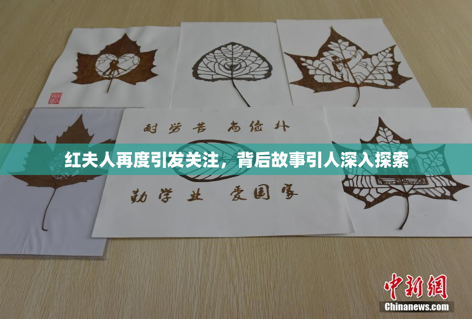红夫人再度引发关注，背后故事引人深入探索