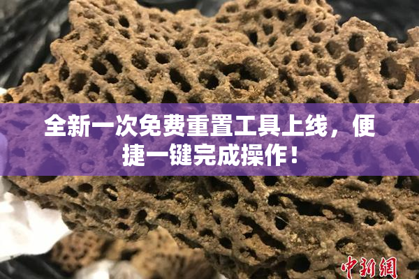 全新一次免费重置工具上线，便捷一键完成操作！