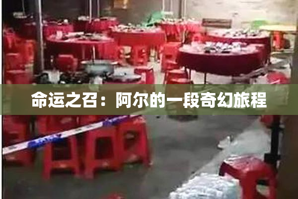 命运之召：阿尔的一段奇幻旅程