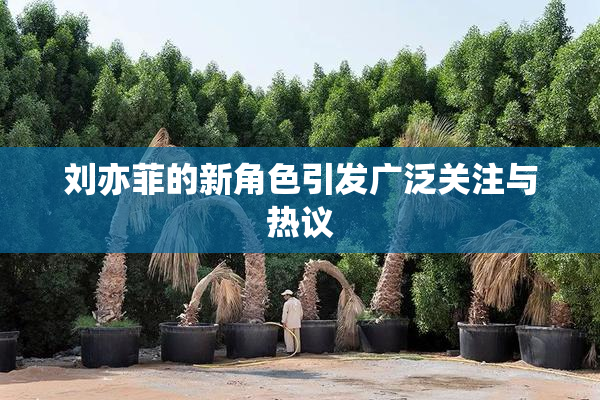 刘亦菲的新角色引发广泛关注与热议