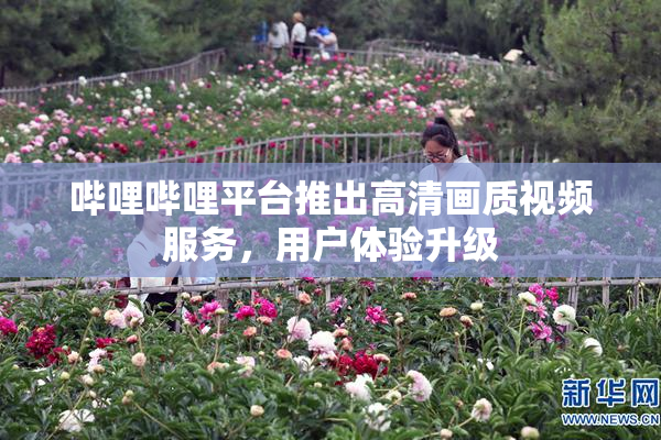 哔哩哔哩平台推出高清画质视频服务，用户体验升级