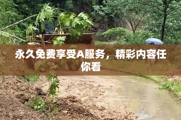 永久免费享受A服务，精彩内容任你看