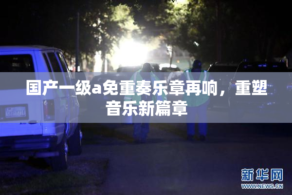 国产一级a免重奏乐章再响，重塑音乐新篇章