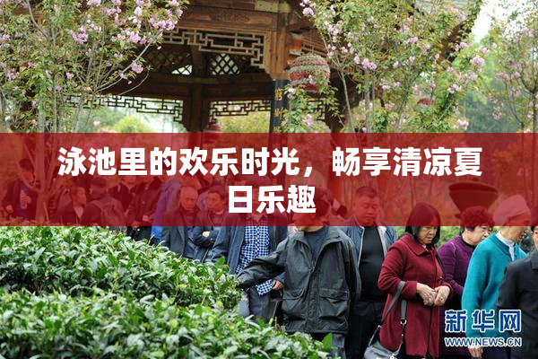 泳池里的欢乐时光，畅享清凉夏日乐趣