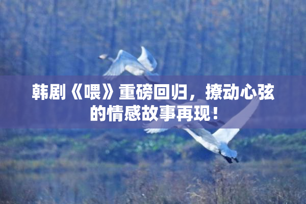 韩剧《喂》重磅回归，撩动心弦的情感故事再现！