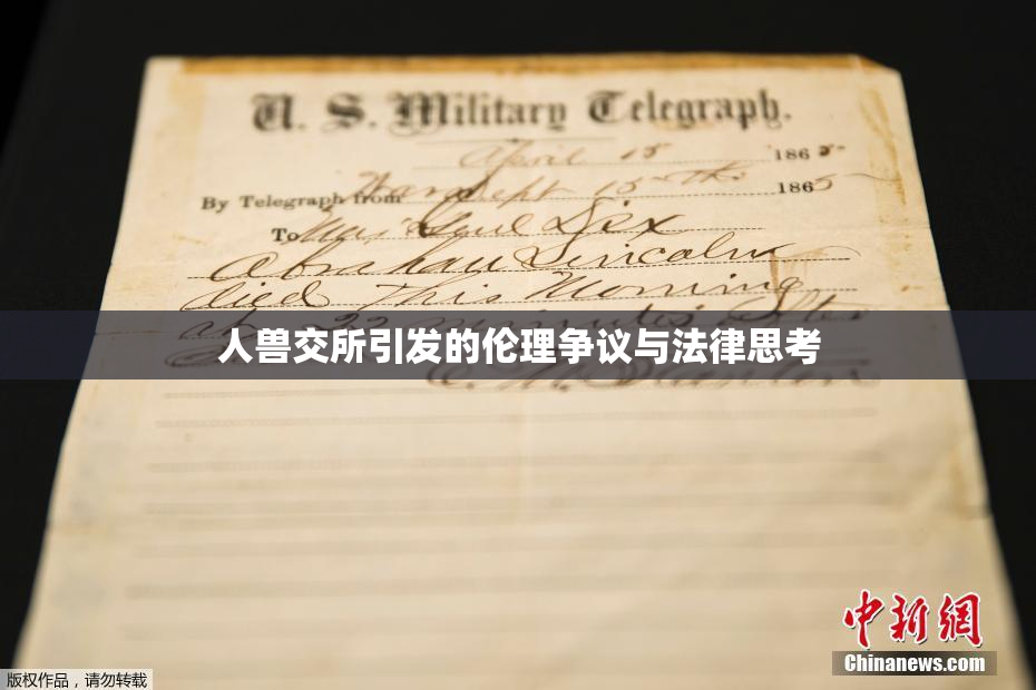 人兽交所引发的伦理争议与法律思考