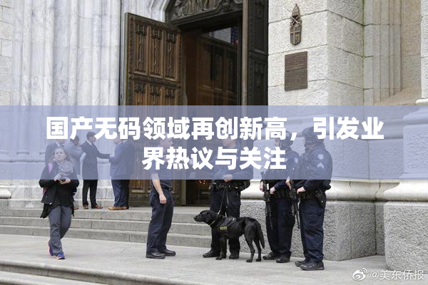 国产无码领域再创新高，引发业界热议与关注