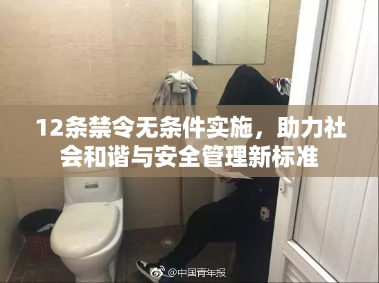 12条禁令无条件实施，助力社会和谐与安全管理新标准