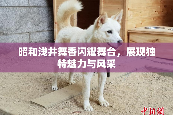 昭和浅井舞香闪耀舞台，展现独特魅力与风采