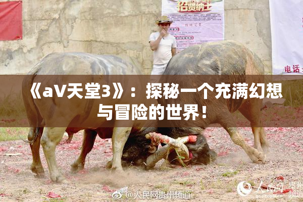 《a∨天堂3》：探秘一个充满幻想与冒险的世界！