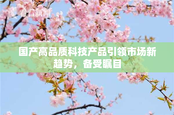 国产高品质科技产品引领市场新趋势，备受瞩目