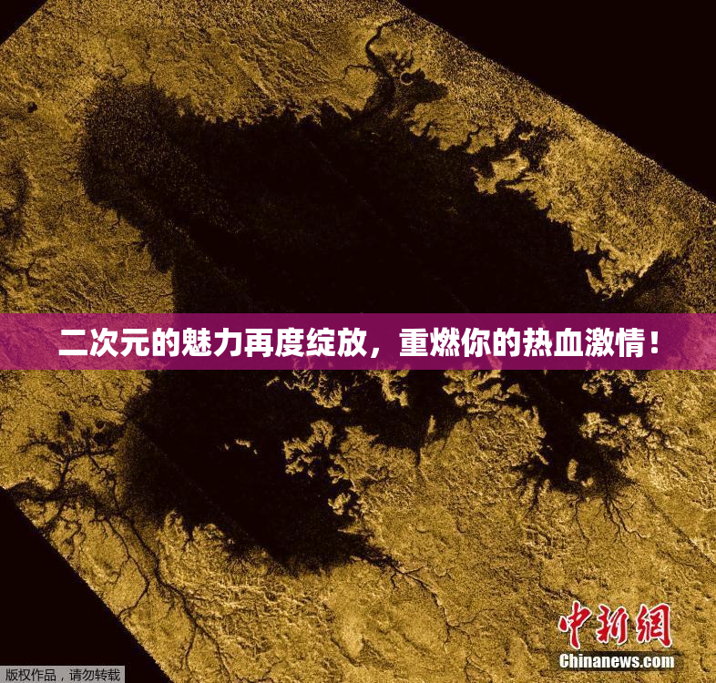 二次元的魅力再度绽放，重燃你的热血激情！