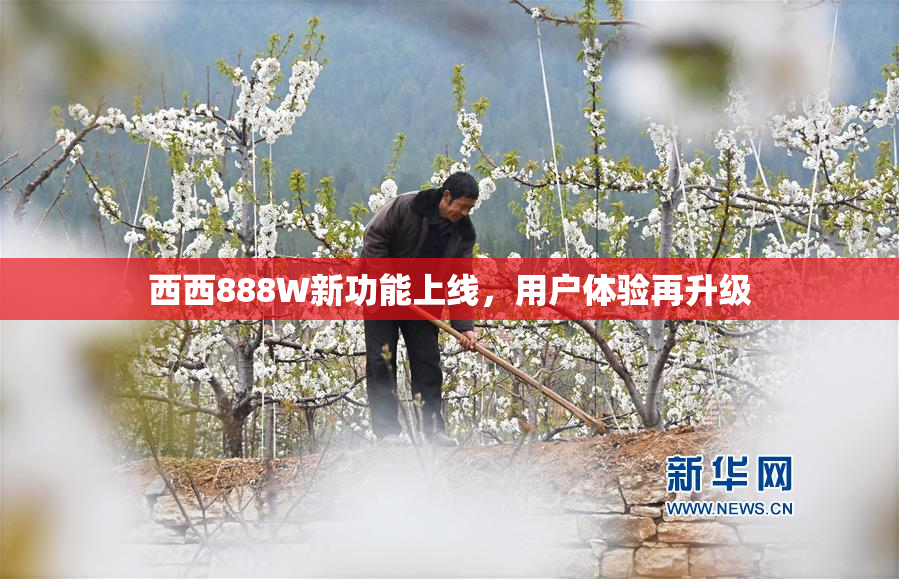 西西888W新功能上线，用户体验再升级