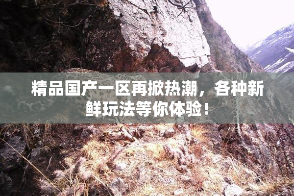 精品国产一区再掀热潮，各种新鲜玩法等你体验！