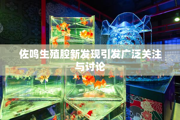 佐鸣生殖腔新发现引发广泛关注与讨论