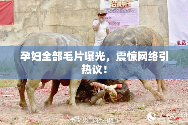 孕妇全部毛片曝光，震惊网络引热议！