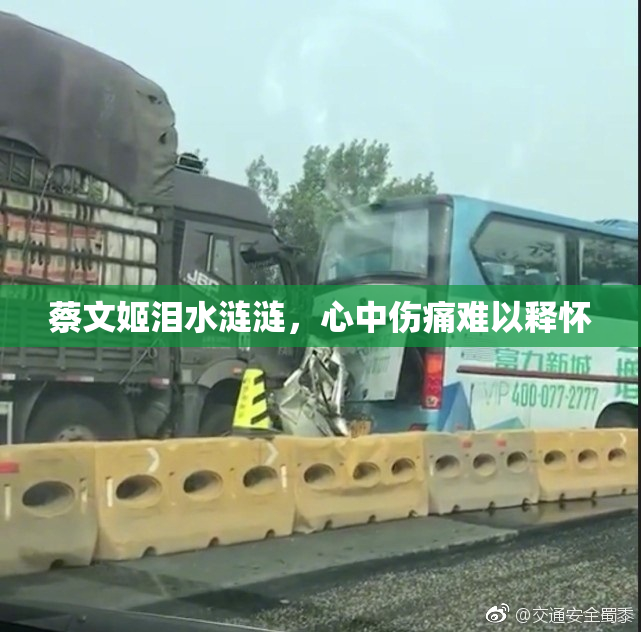 蔡文姬泪水涟涟，心中伤痛难以释怀