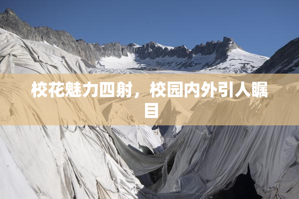 校花魅力四射，校园内外引人瞩目
