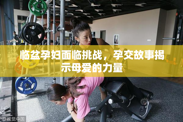 临盆孕妇面临挑战，孕交故事揭示母爱的力量