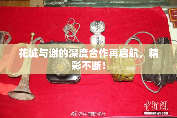 花城与谢的深度合作再启航，精彩不断！