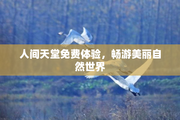 人间天堂免费体验，畅游美丽自然世界